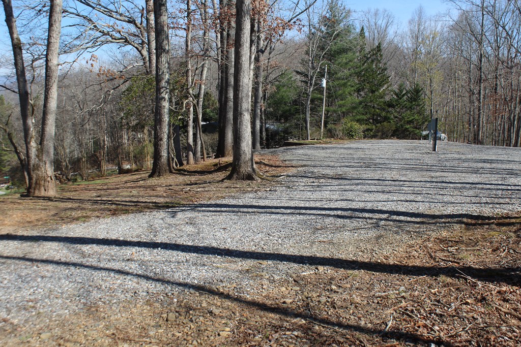 1017 Laurel Branch Road Hayesville, NC 28904 - Photo 5 of 16