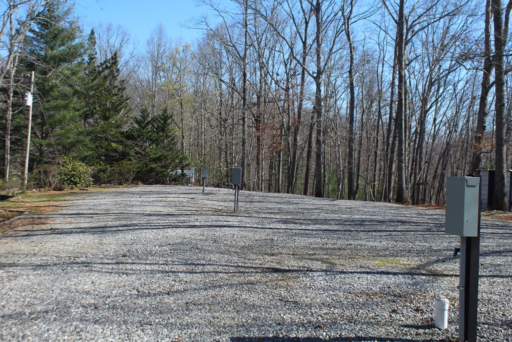 1017 Laurel Branch Road Hayesville, NC 28904 - Photo 6 of 16