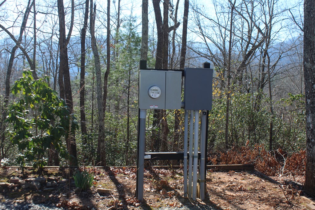 1017 Laurel Branch Road Hayesville, NC 28904 - Photo 8 of 16