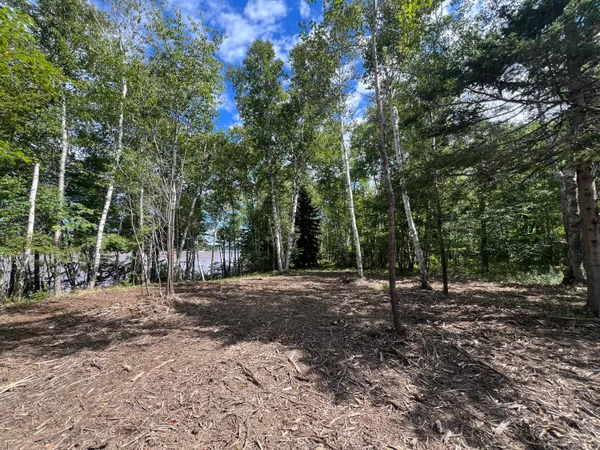 $99,900 | Markayeast Markayeast Puffins Lane, Machiasport, ME 04655