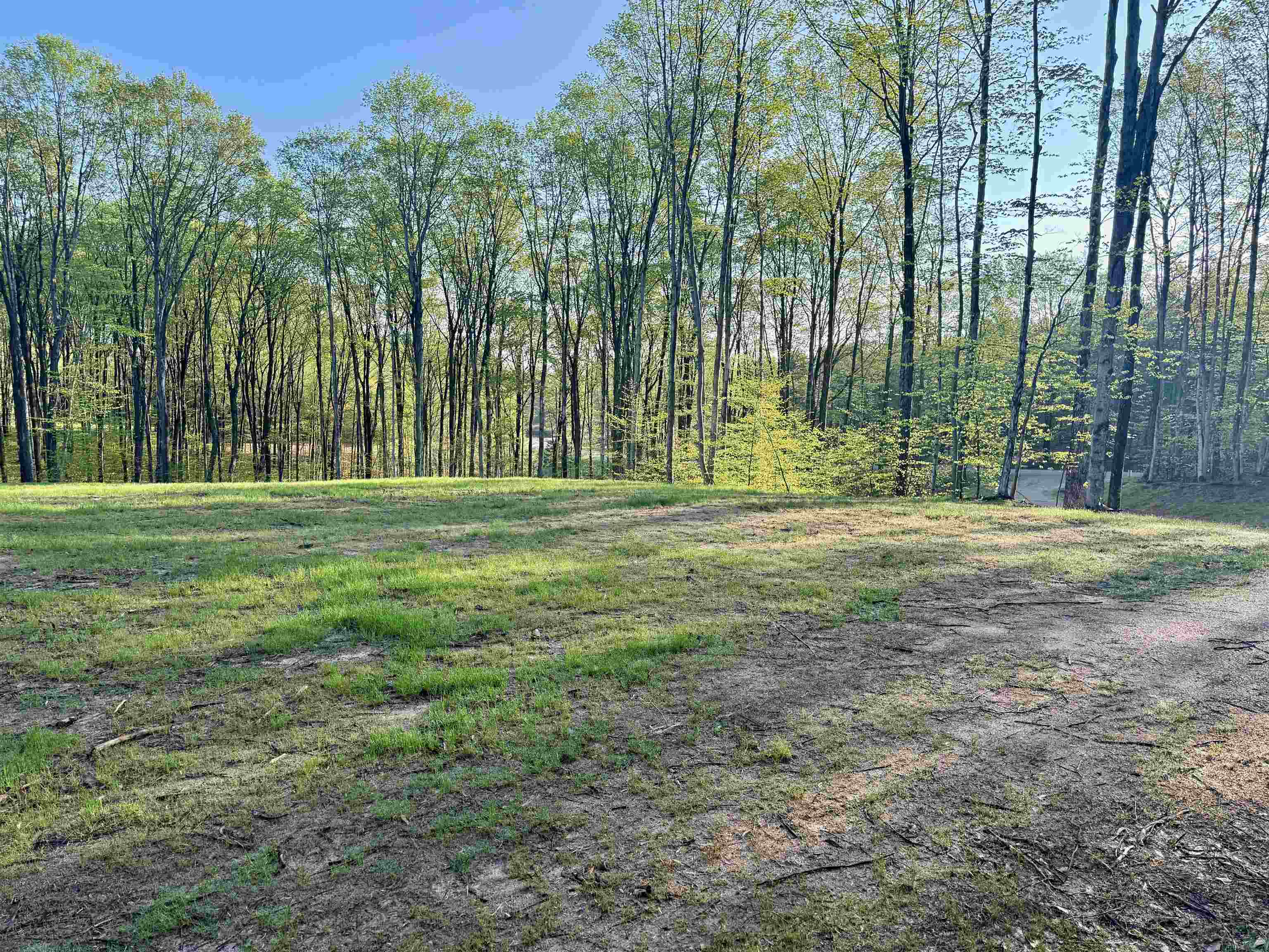 1 South Bright Road, Unit LOT: 1 Maple City, MI 49664 - Photo 4 of 11
