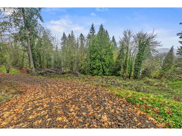 a view of a yard with trees in the background