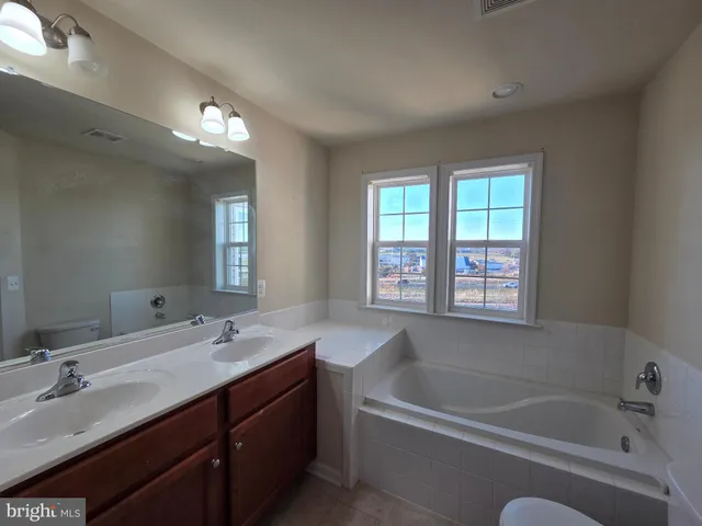 a bathroom with a tub a sink double vanity and a mirror