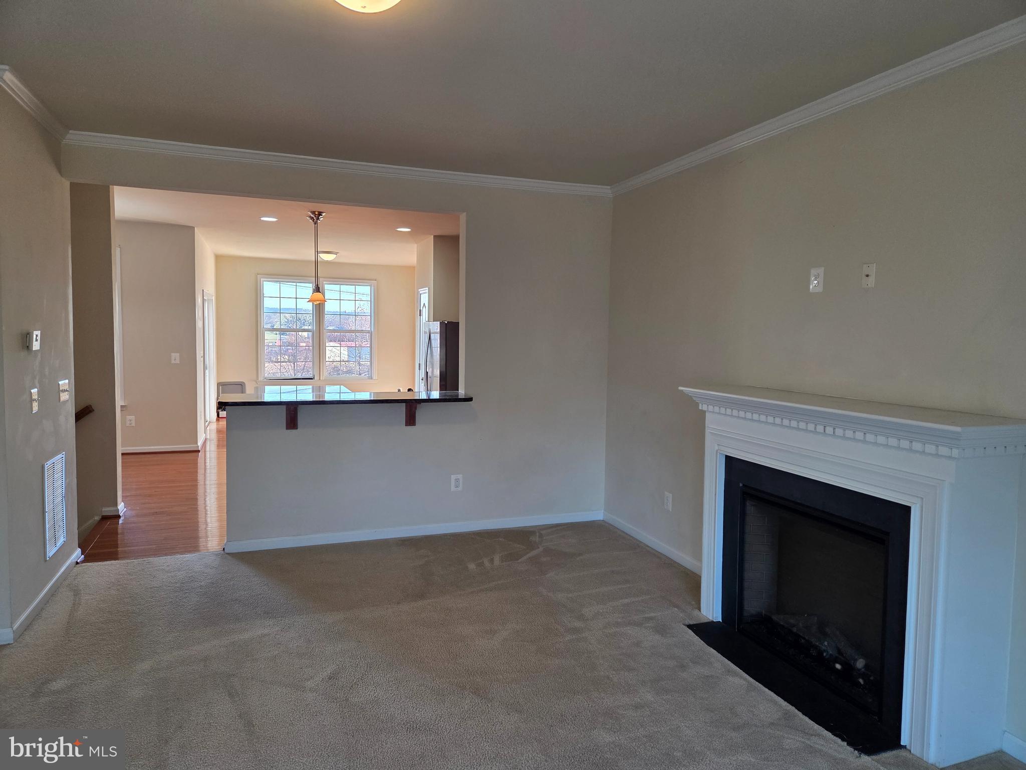 129 Schramm Loop Stephens City, VA 22655 - Photo 10 of 20 an empty room with a fireplace and windows