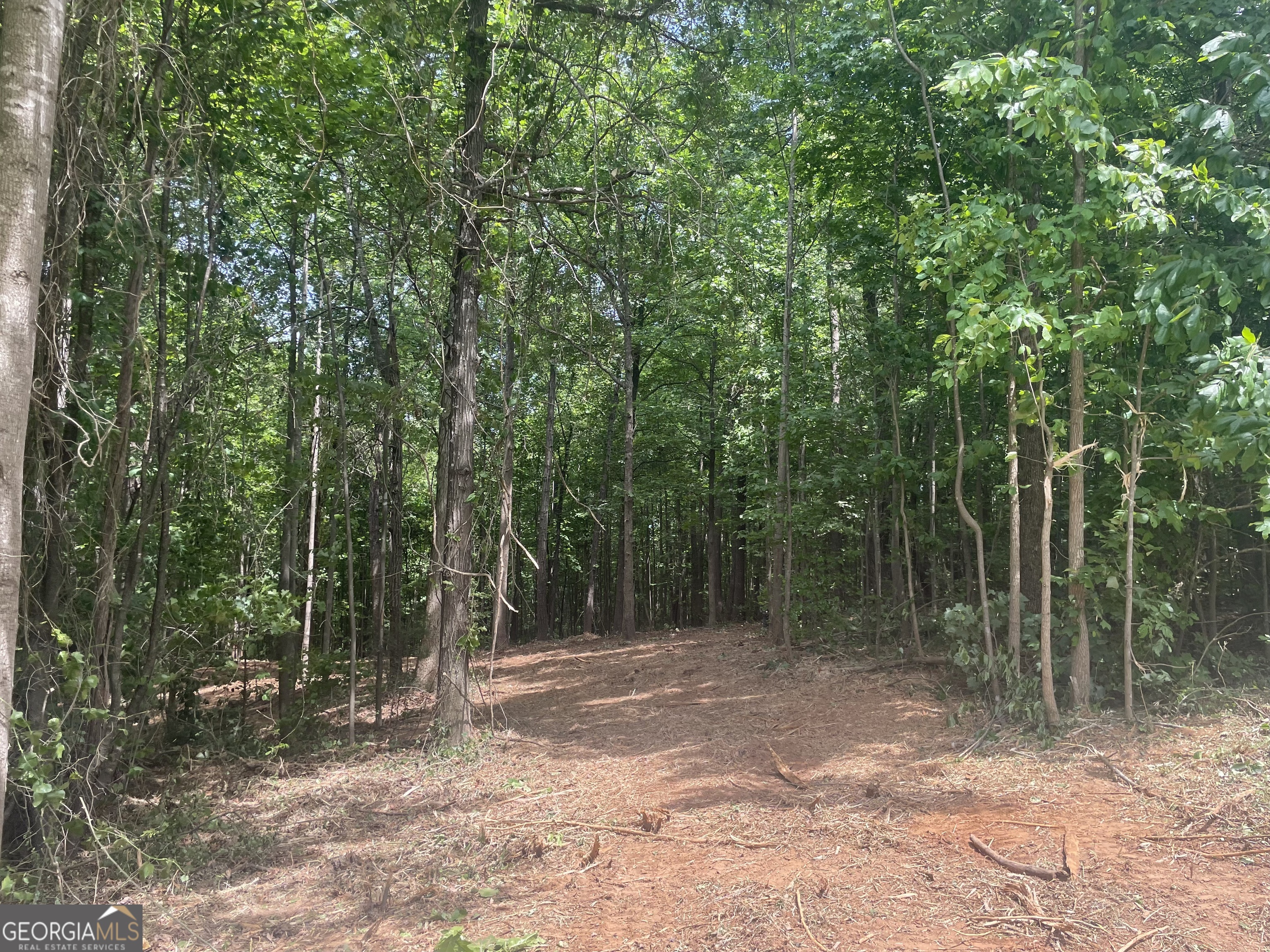 0 Kesler Carnesville, GA 30521 - Photo 2 of 14