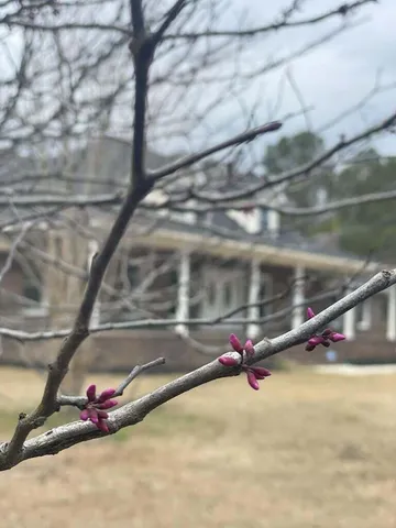 $629,000 | 144 Bethlehem Road, Holly Hill, SC 29059