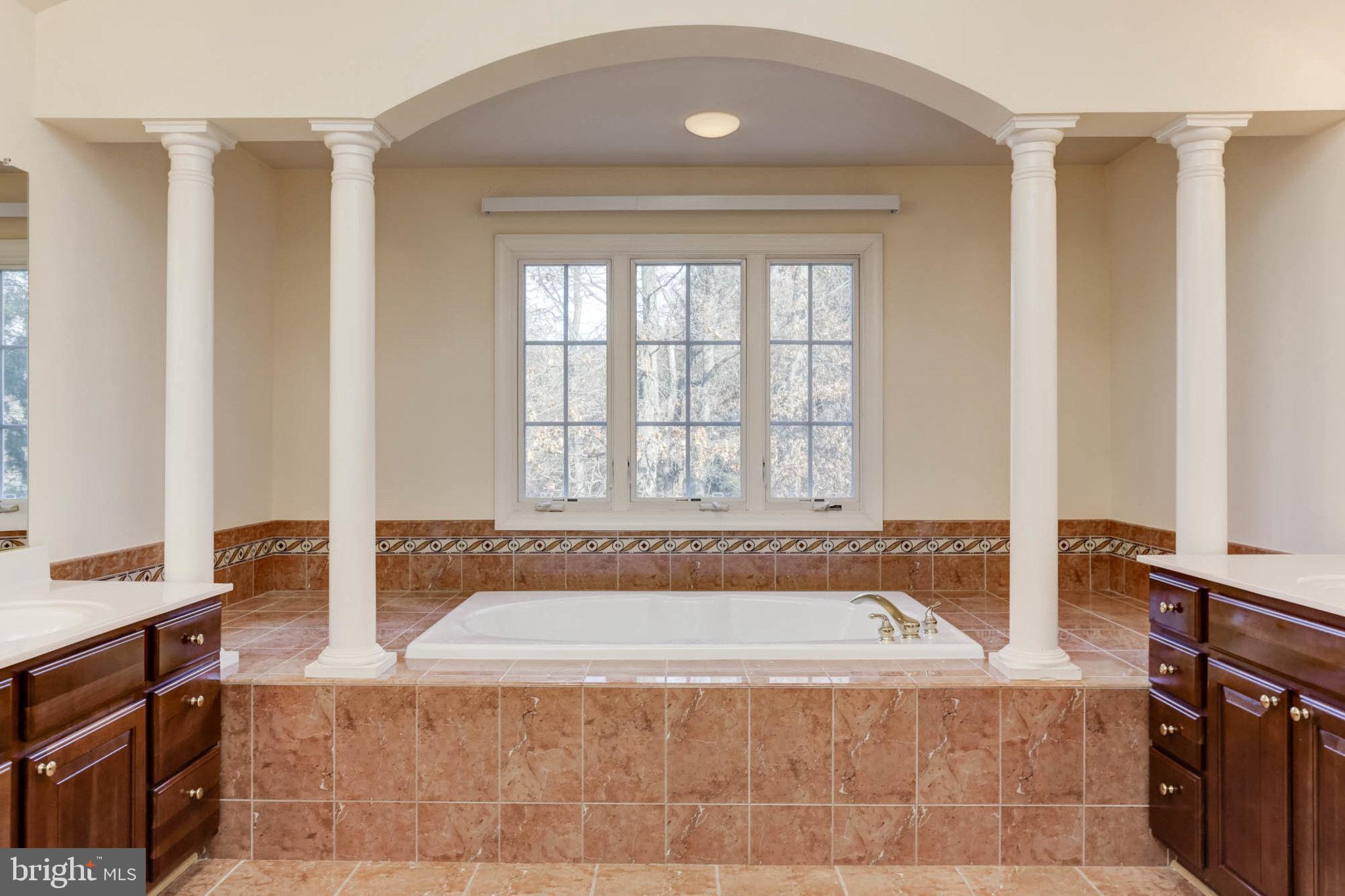 2014 Drovers Lane Cooksville, MD 21723 - Photo 27 of 55 Dual vanities and focal point jetted Tub