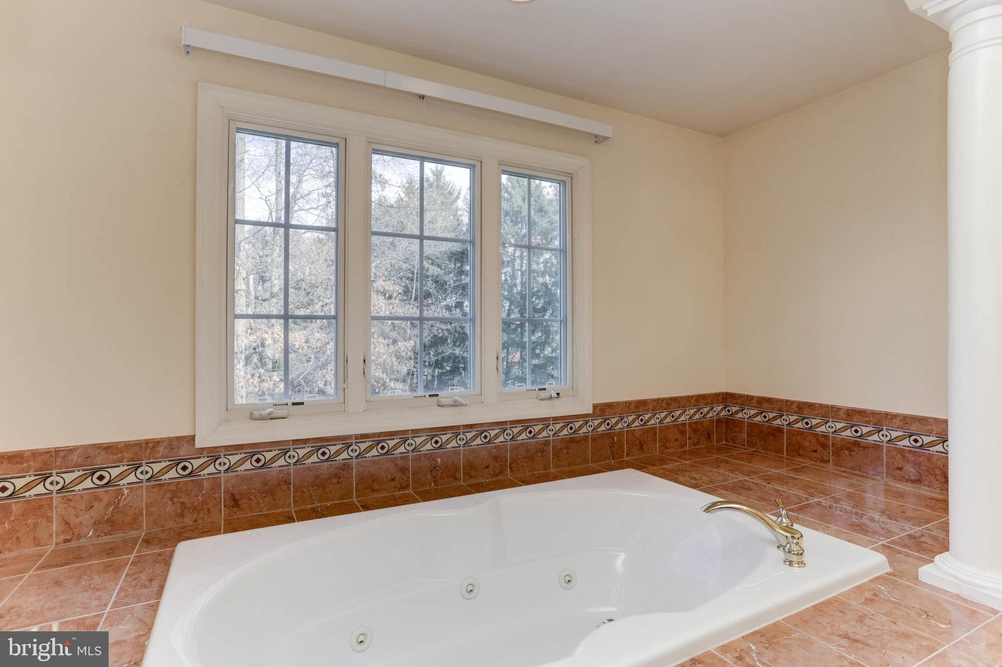 2014 Drovers Lane Cooksville, MD 21723 - Photo 28 of 55 Relaxing, large jetted tub