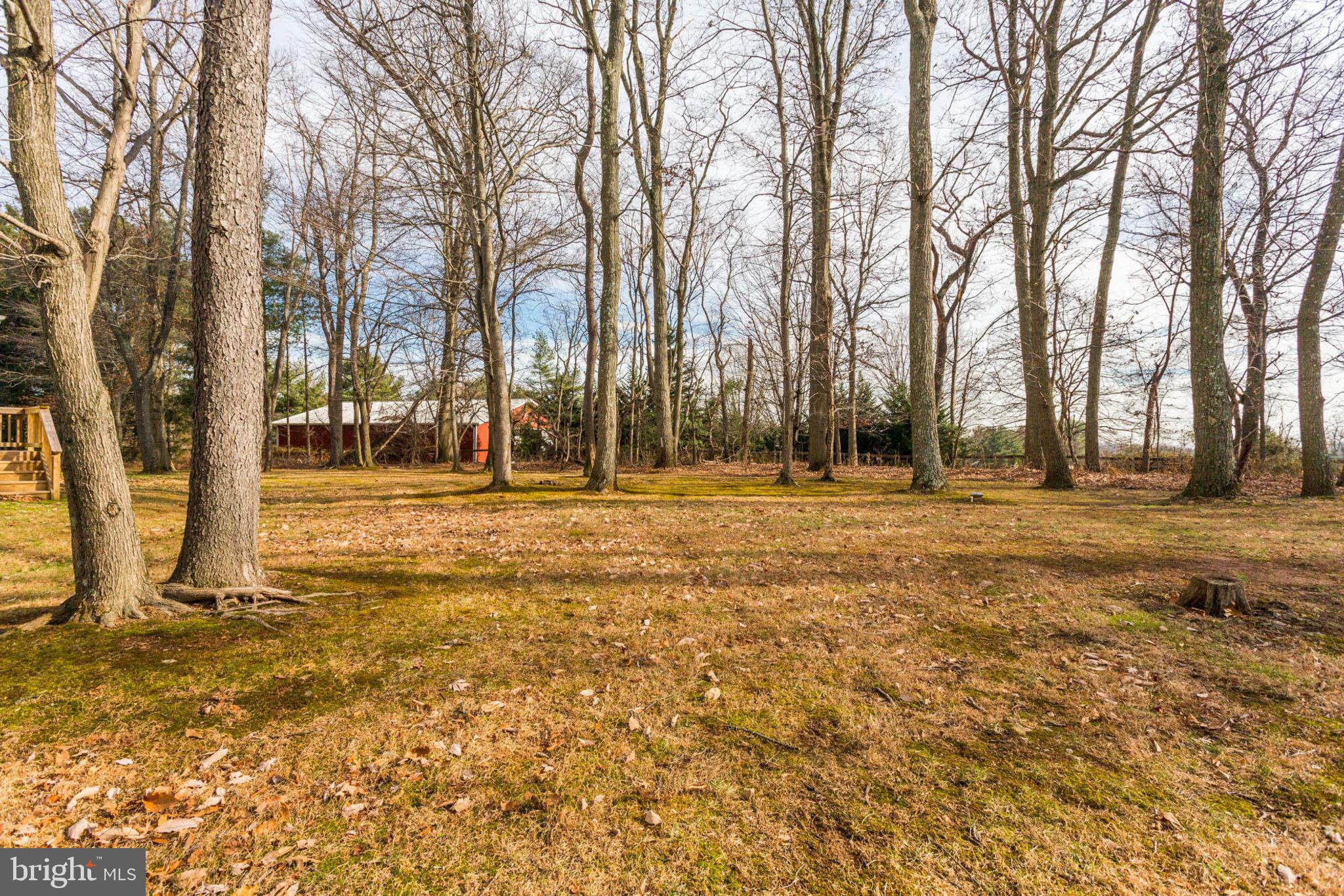 2014 Drovers Lane Cooksville, MD 21723 - Photo 52 of 55 Surrounded on 3 sides by Conservation Land