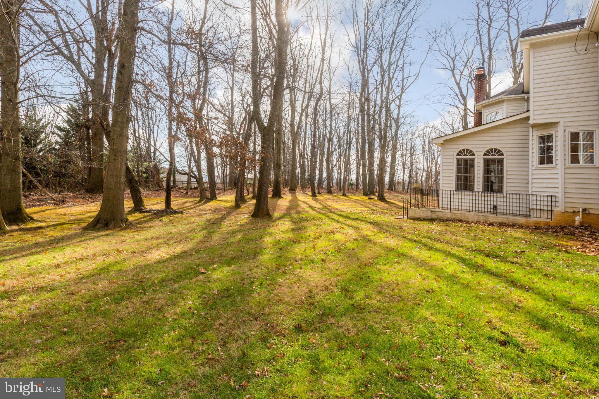 2014 Drovers Lane Cooksville, MD 21723 - Photo 53 of 55 Lush, private yard w/ mature trees
