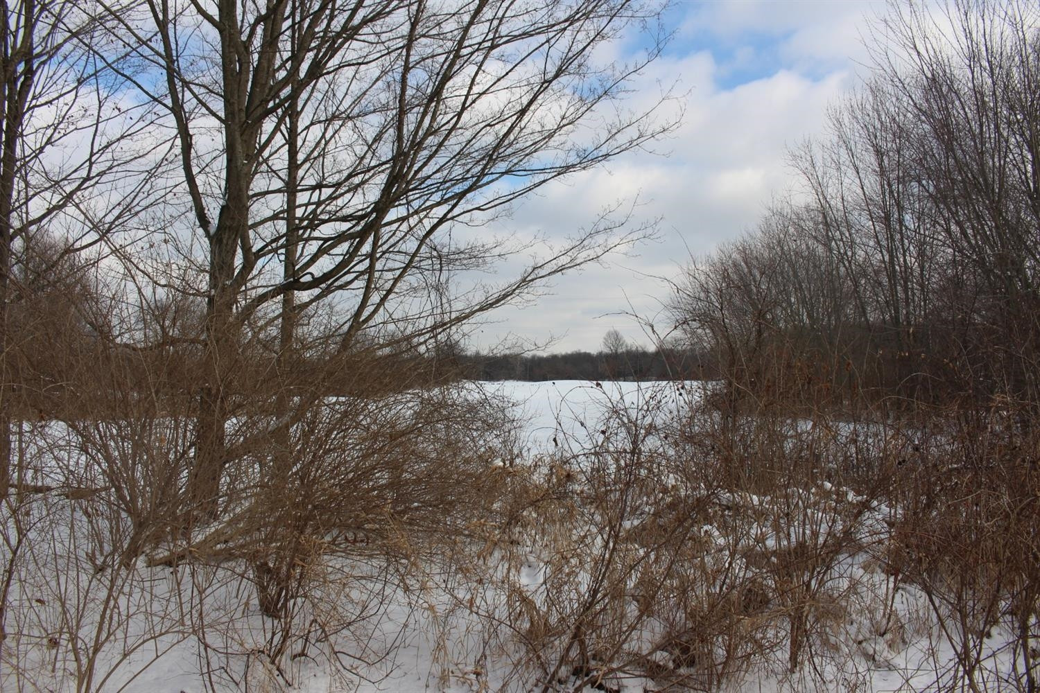 0 Springbrook Road Jackson, MI 49201 - Photo 3 of 8 Photo 3