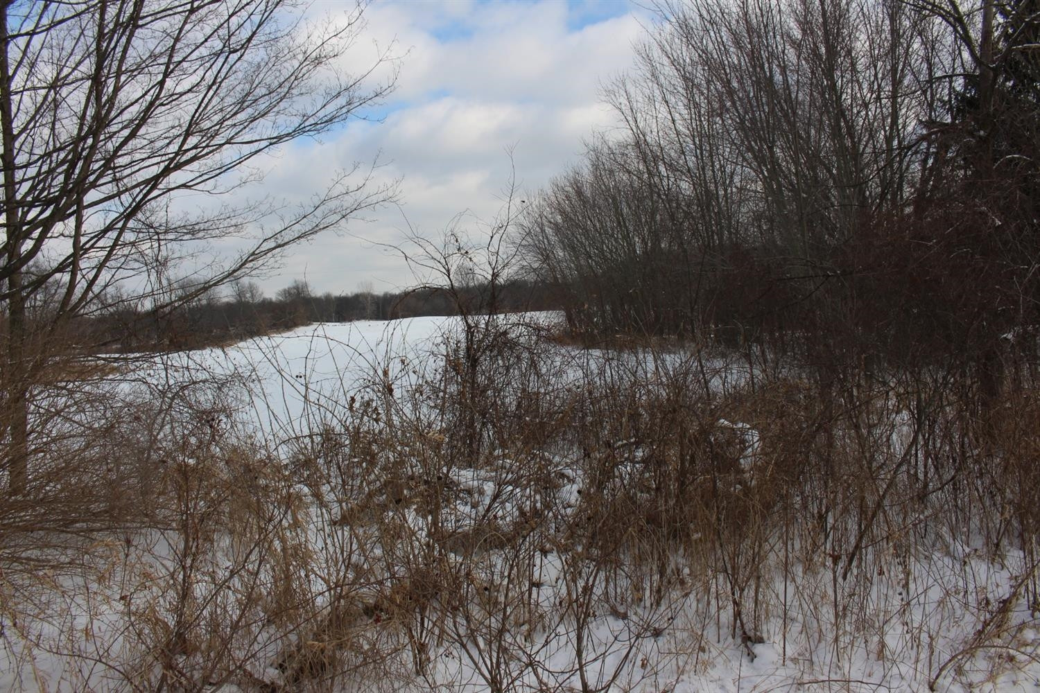 0 Springbrook Road Jackson, MI 49201 - Photo 5 of 8 Photo 5