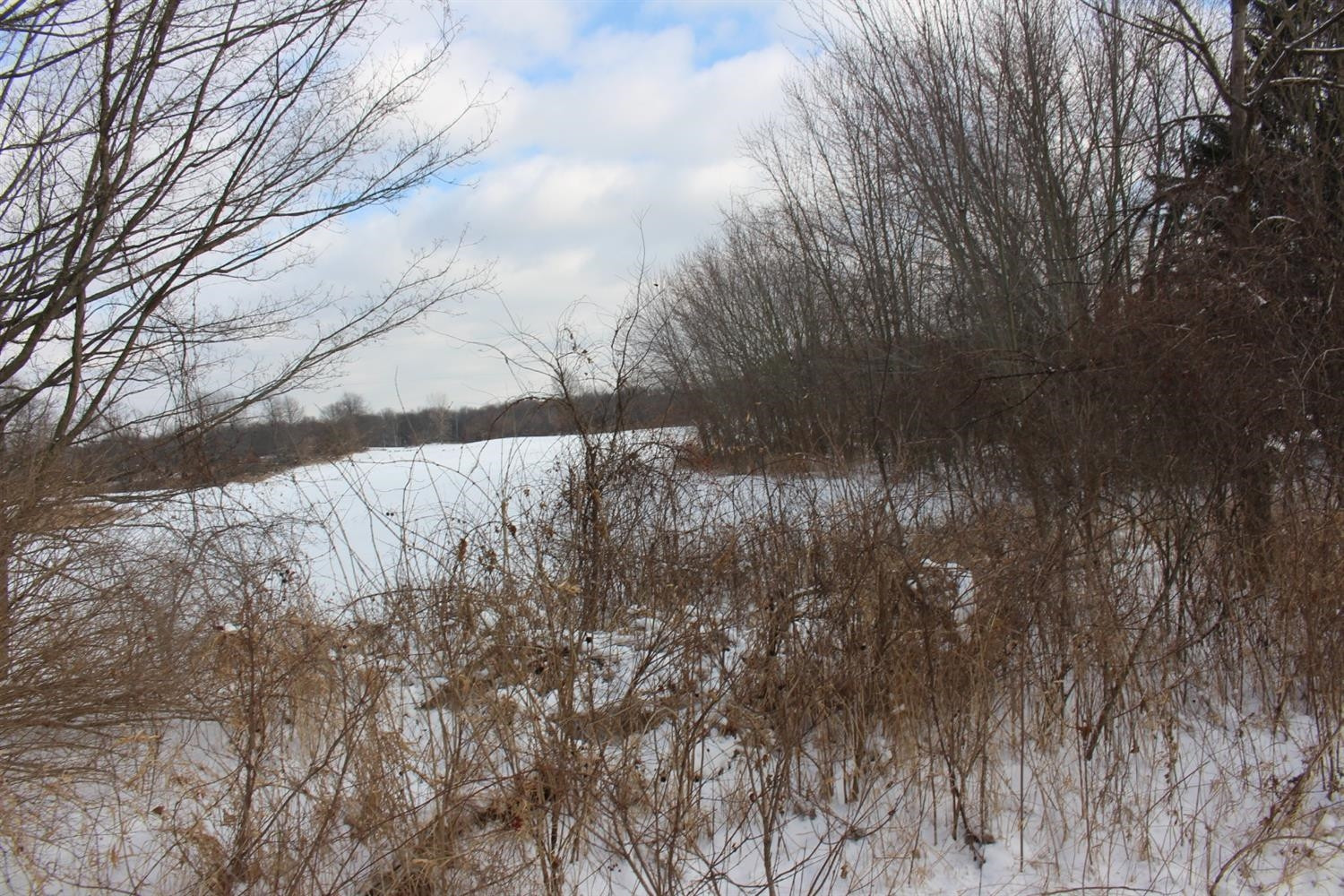 0 Springbrook Road Jackson, MI 49201 - Photo 6 of 8 Photo 6