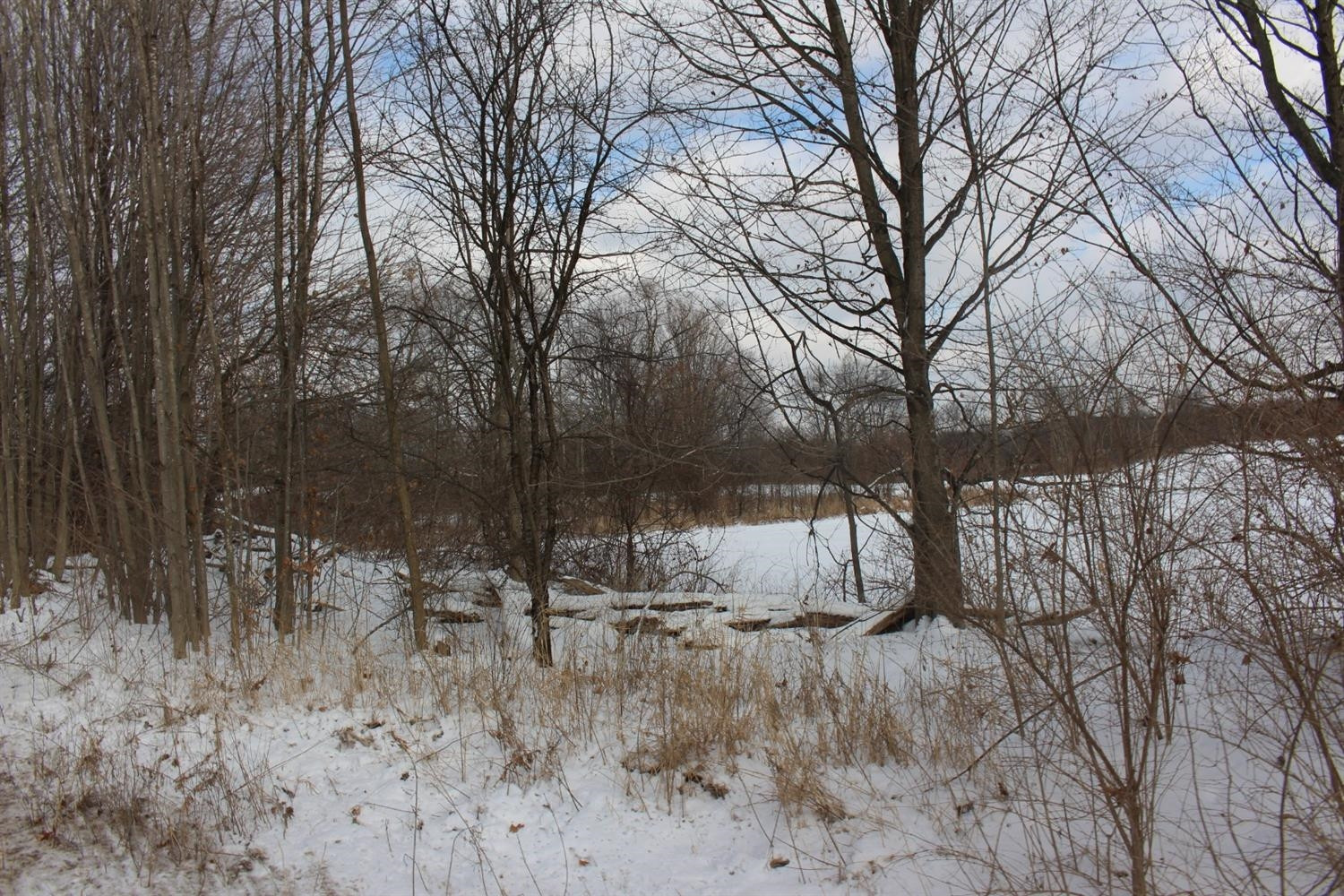 0 Springbrook Road Jackson, MI 49201 - Photo 7 of 8 Photo 7