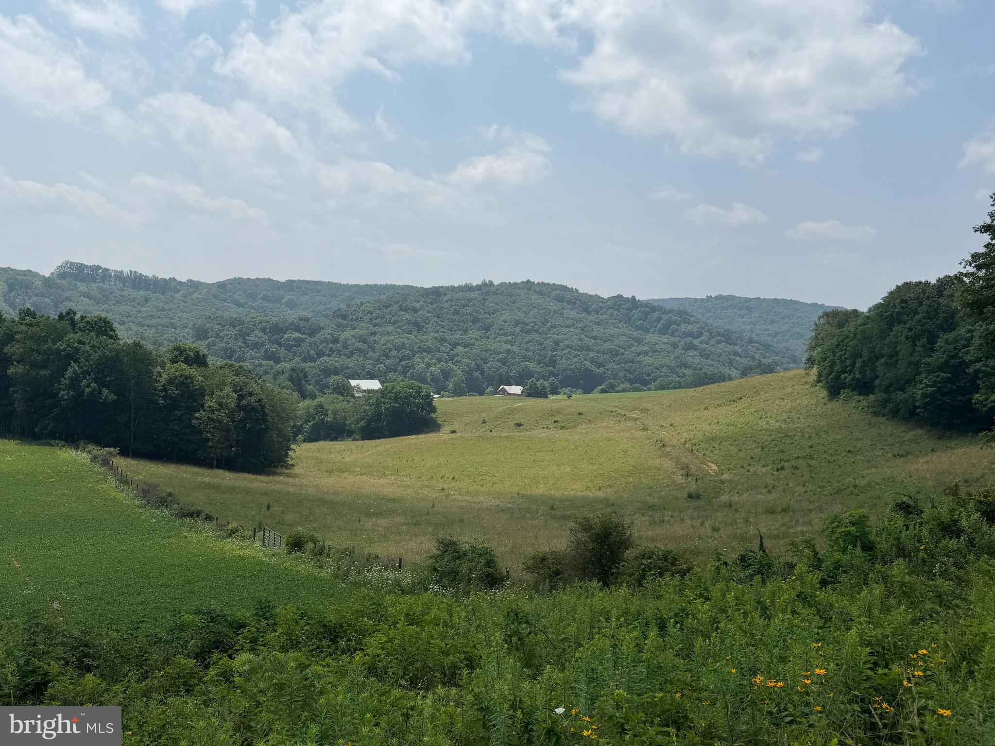 361 Caney Valley Road Markleysburg, PA 15459 - Photo 40 of 91 Gallery Image 40