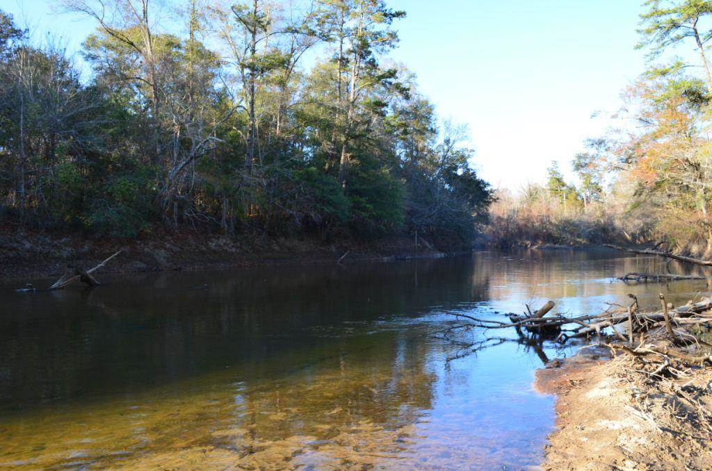 1059 Walker Road Florala, AL 36442 - Photo 1 of 16