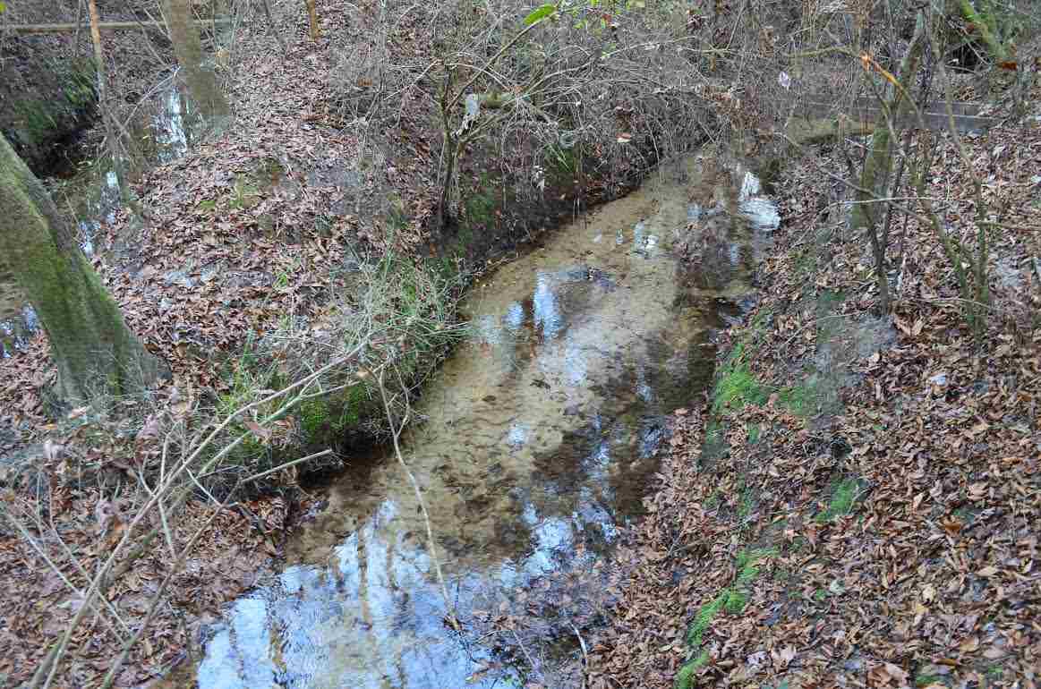 1059 Walker Road Florala, AL 36442 - Photo 12 of 16 Crystal clear creek flowing through the property.
