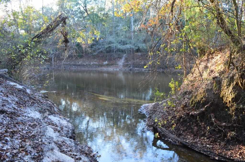 1059 Walker Road Florala, AL 36442 - Photo 13 of 16 Mouth of creek through the property.