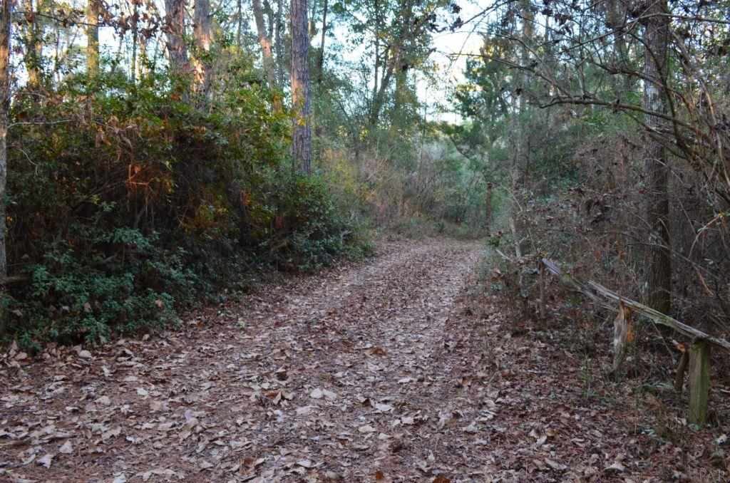 1059 Walker Road Florala, AL 36442 - Photo 14 of 16 Drive from Walker Rd to the cabin.