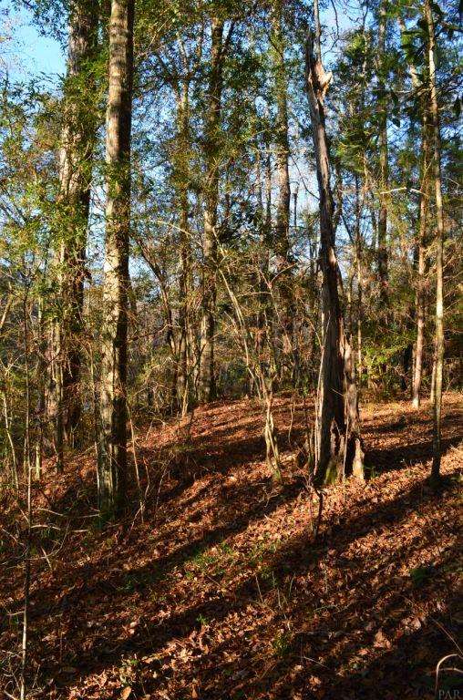 1059 Walker Road Florala, AL 36442 - Photo 15 of 16