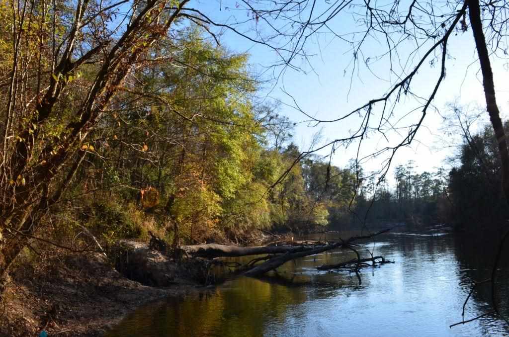 1059 Walker Road Florala, AL 36442 - Photo 3 of 16 View downriver from the property.