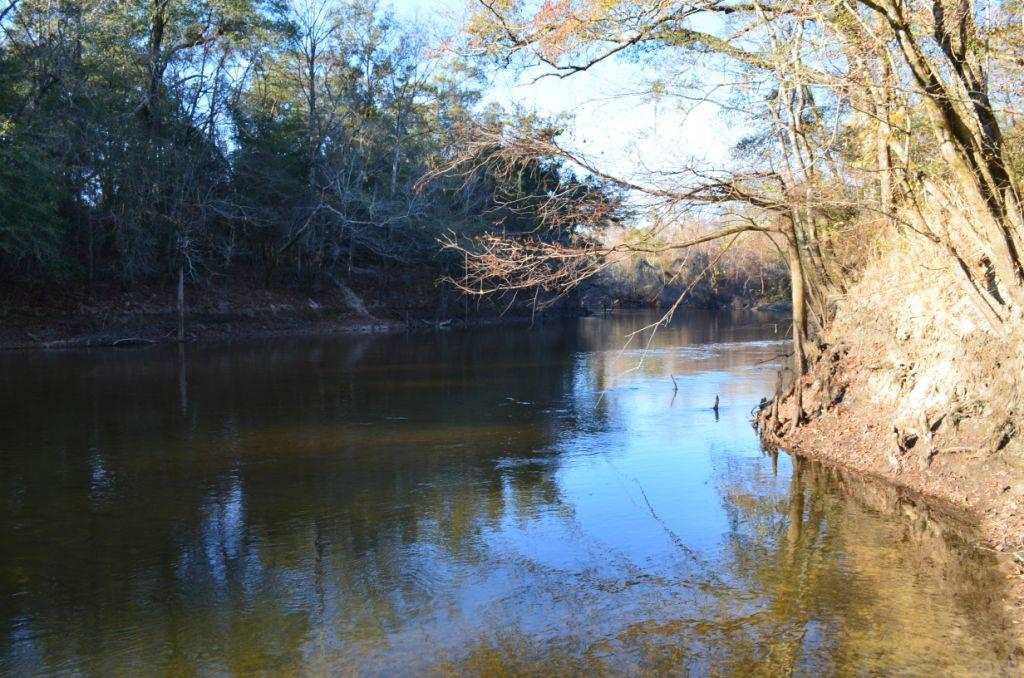 1059 Walker Road Florala, AL 36442 - Photo 4 of 16 View upriver from the property.