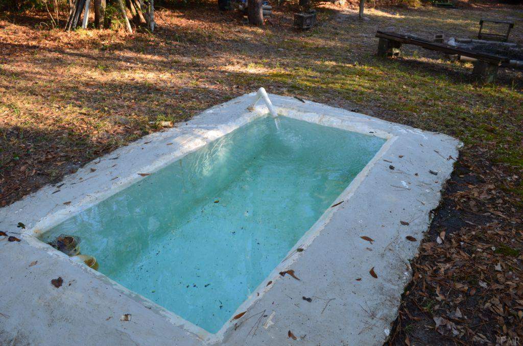 1059 Walker Road Florala, AL 36442 - Photo 9 of 16 Wading pool fed by a free flowing artesian well.