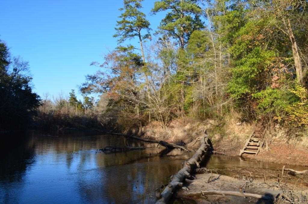 1059 Walker Road Florala, AL 36442 - Photo 10 of 16