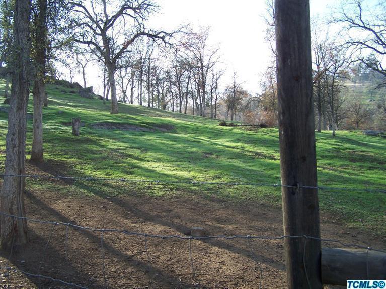35604 Ennis Road Squaw Valley, CA 93675 - Photo 33 of 33 Pasture area looking west from the backy