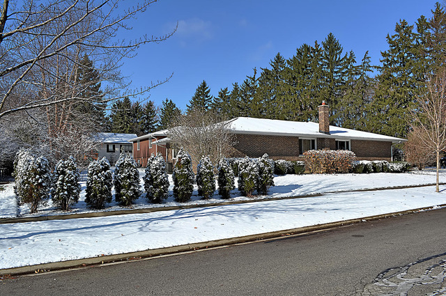 605 West Gilbert Road Palatine, IL 60067 - Photo 25 of 25 a front view of house with yard and trees around
