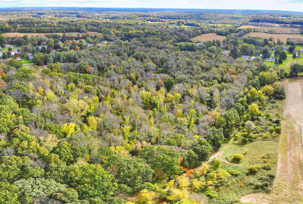 5000 Squires Manor Road, Unit VACANT LAND Jackson, MI 49201 - Photo 12 of 20 Photo 12