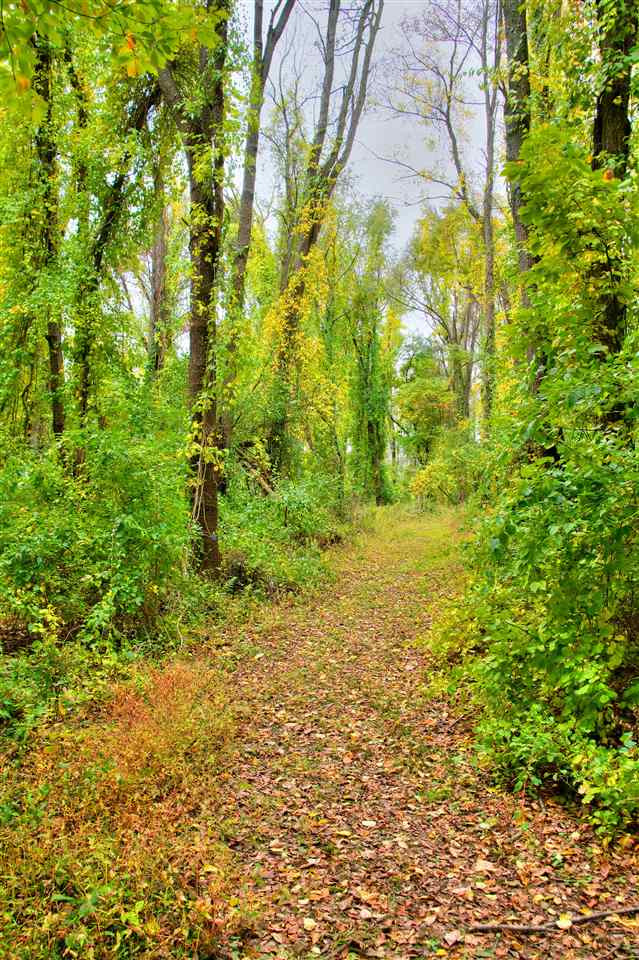 5000 Squires Manor Road, Unit VACANT LAND Jackson, MI 49201 - Photo 16 of 20 Photo 16