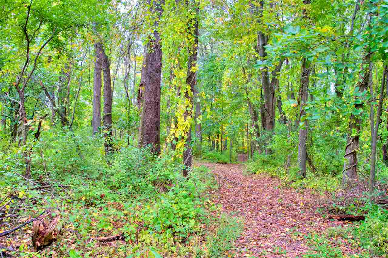 5000 Squires Manor Road, Unit VACANT LAND Jackson, MI 49201 - Photo 18 of 20 Photo 18