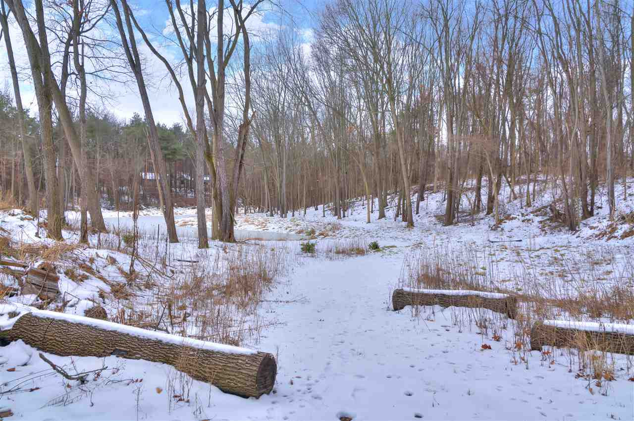 5000 Squires Manor Road, Unit VACANT LAND Jackson, MI 49201 - Photo 2 of 20 Photo 2