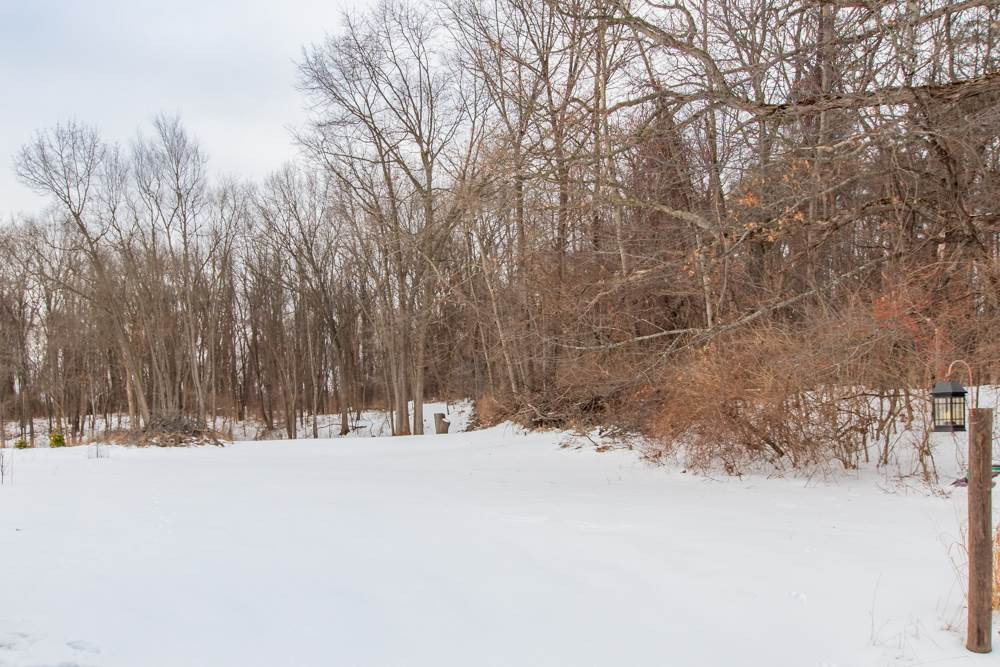 5000 Squires Manor Road, Unit VACANT LAND Jackson, MI 49201 - Photo 4 of 20 Photo 4