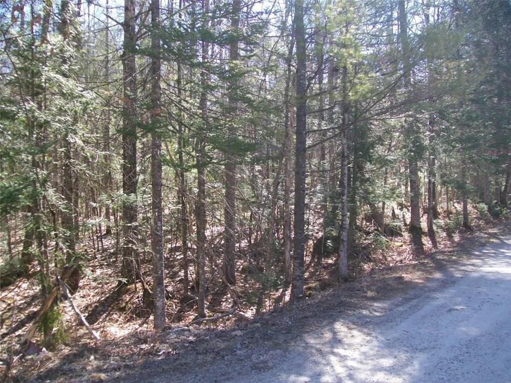 0 Kilby Edwards Road Otisfield, ME 04270 - Photo 5 of 15 20180820204934909887000000-o