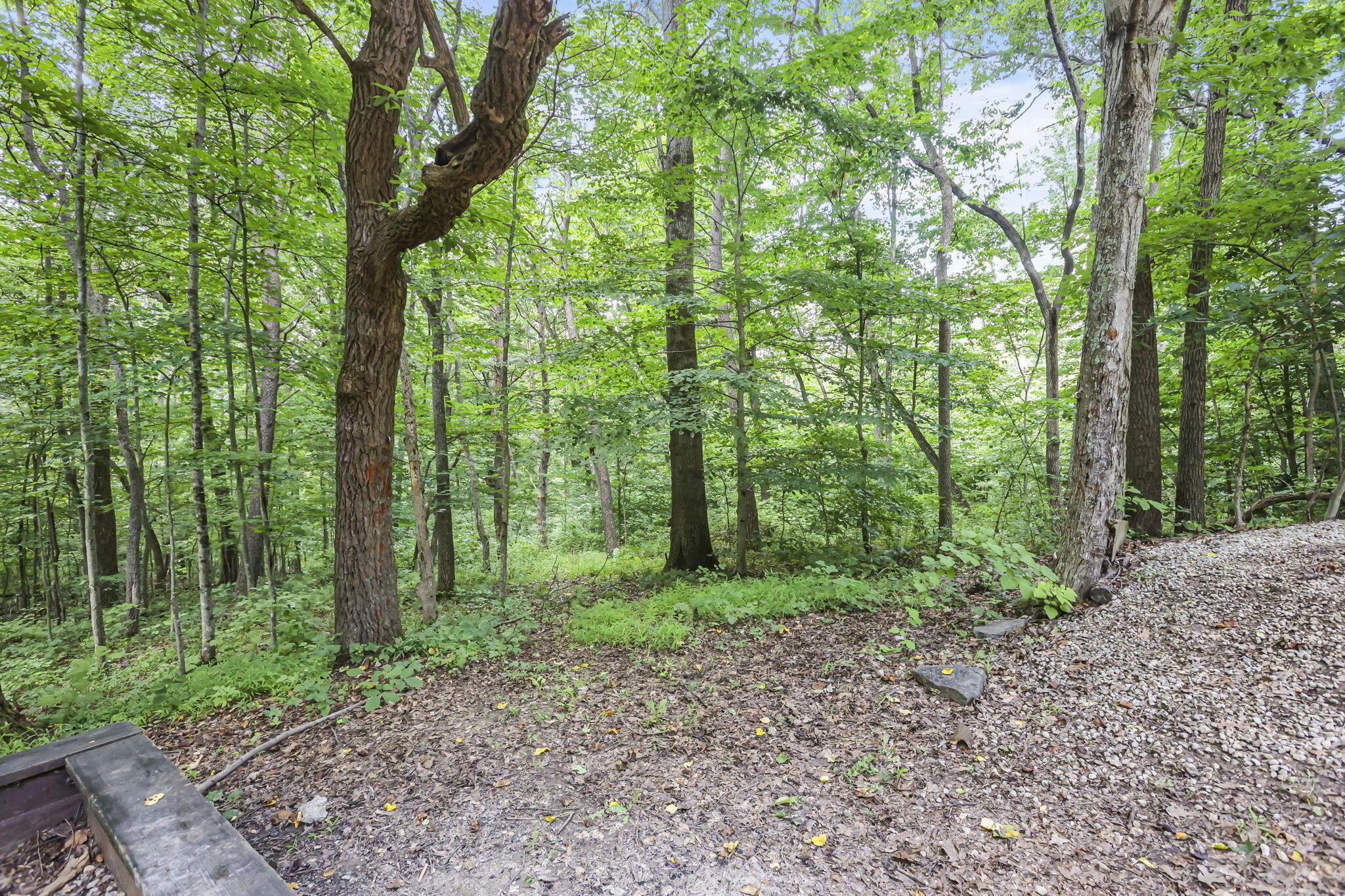 19475 Linden Road Logan, OH 43138 - Photo 71 of 94 Wooded lot featuring mature trees and natural ground cover