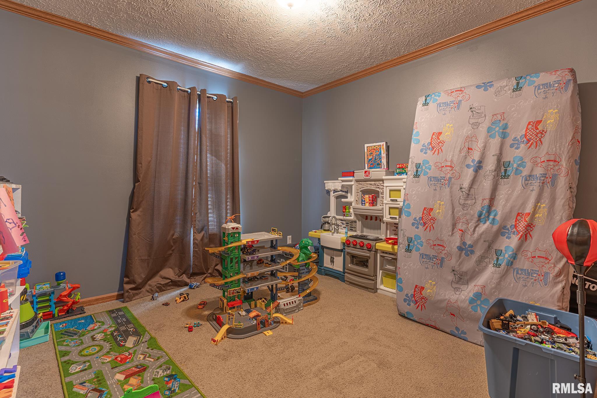 3221 Norton Road Sandoval, IL 62882 - Photo 21 of 37