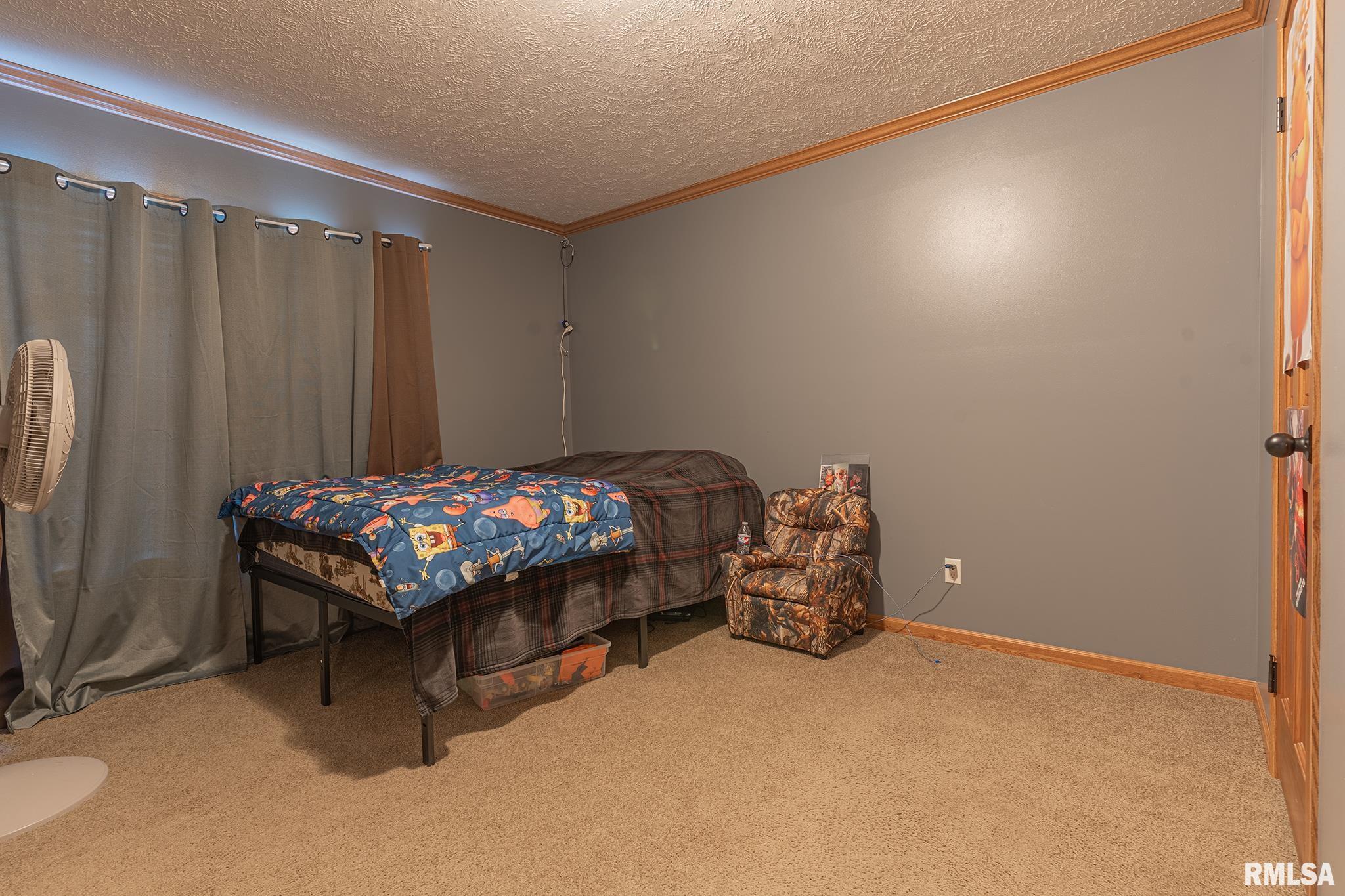 3221 Norton Road Sandoval, IL 62882 - Photo 22 of 37