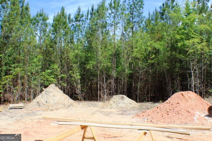 1224 Snow Hill Road Cadwell, GA 31009 - Photo 10 of 11