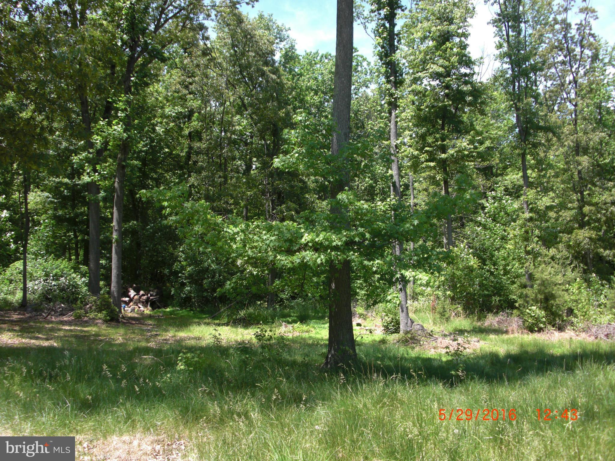 315 Star Rte Road Elkton, MD 21921 - Photo 3 of 12 View