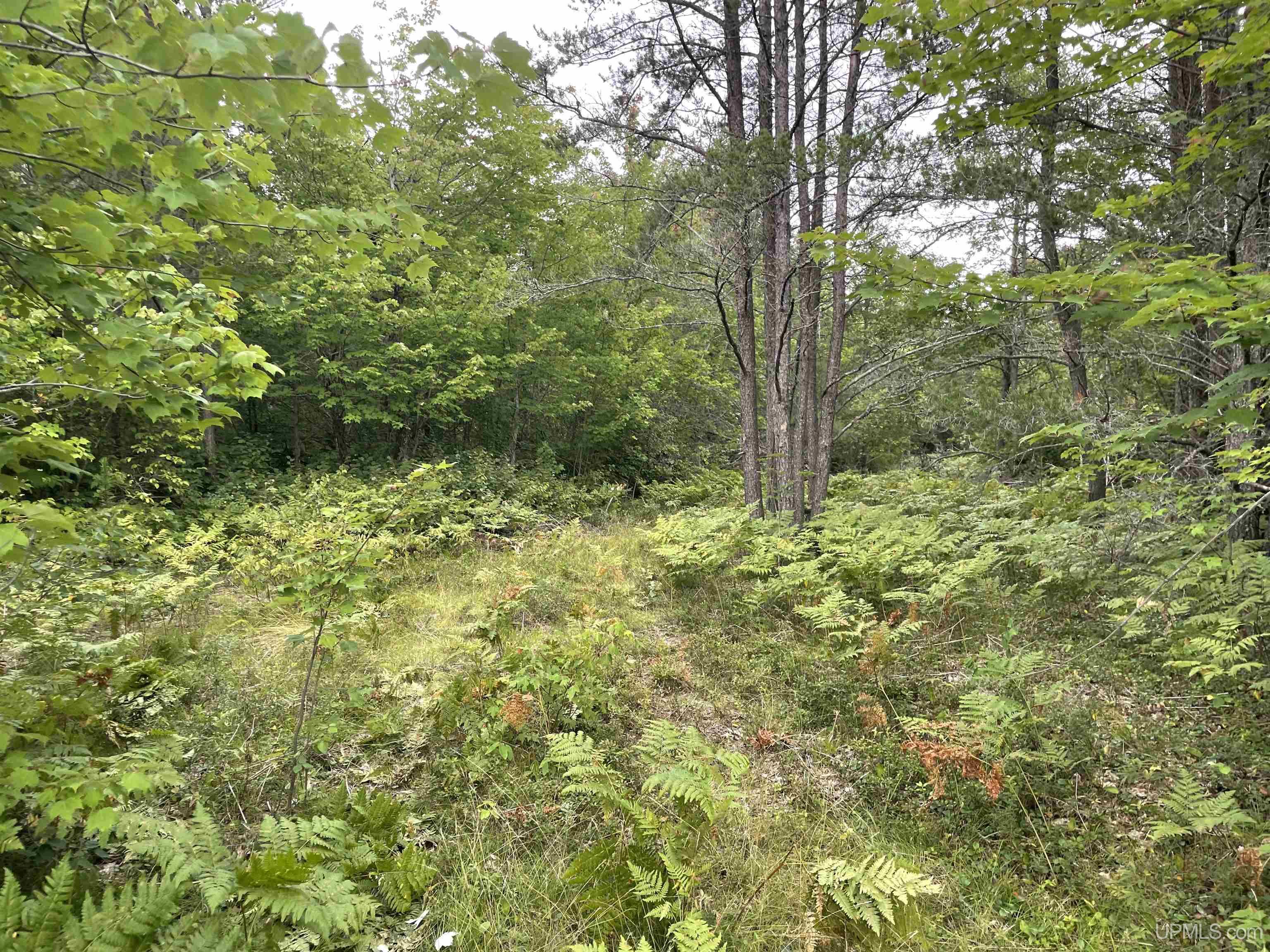 456 North Rd Little Lake Little Lake, MI 49833 - Photo 7 of 29