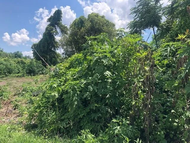 $36,000 | 0 Lots 12-15/ 36-40 Street, Harvey, LA 70058