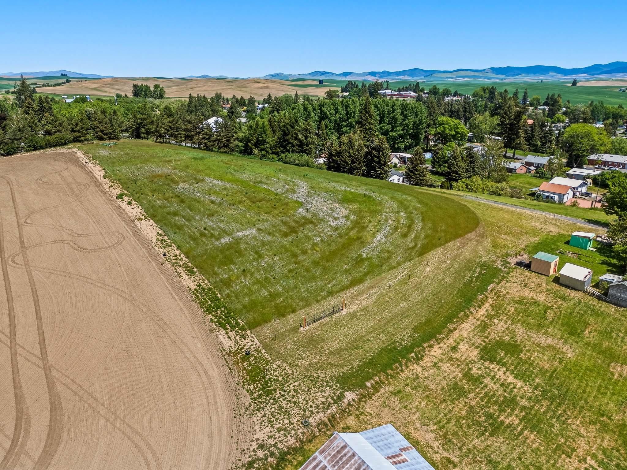 Tbd 10th Street Garfield, WA 99130 - Photo 3 of 12