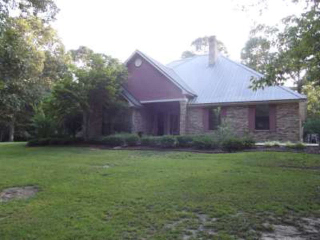Main View