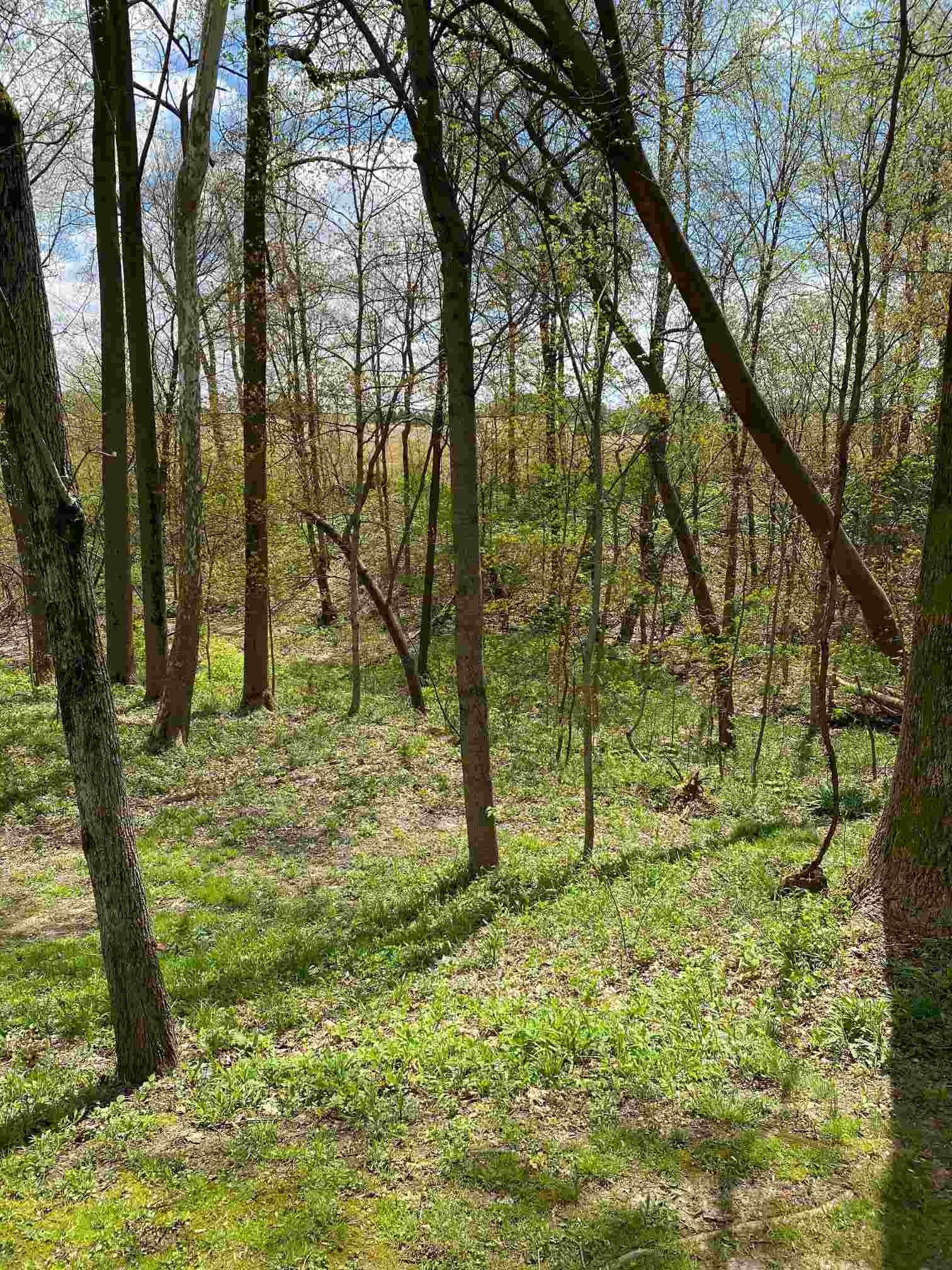 4584 North State Road Bruceville, IN 47516 - Photo 11 of 18 Gallery Image 11