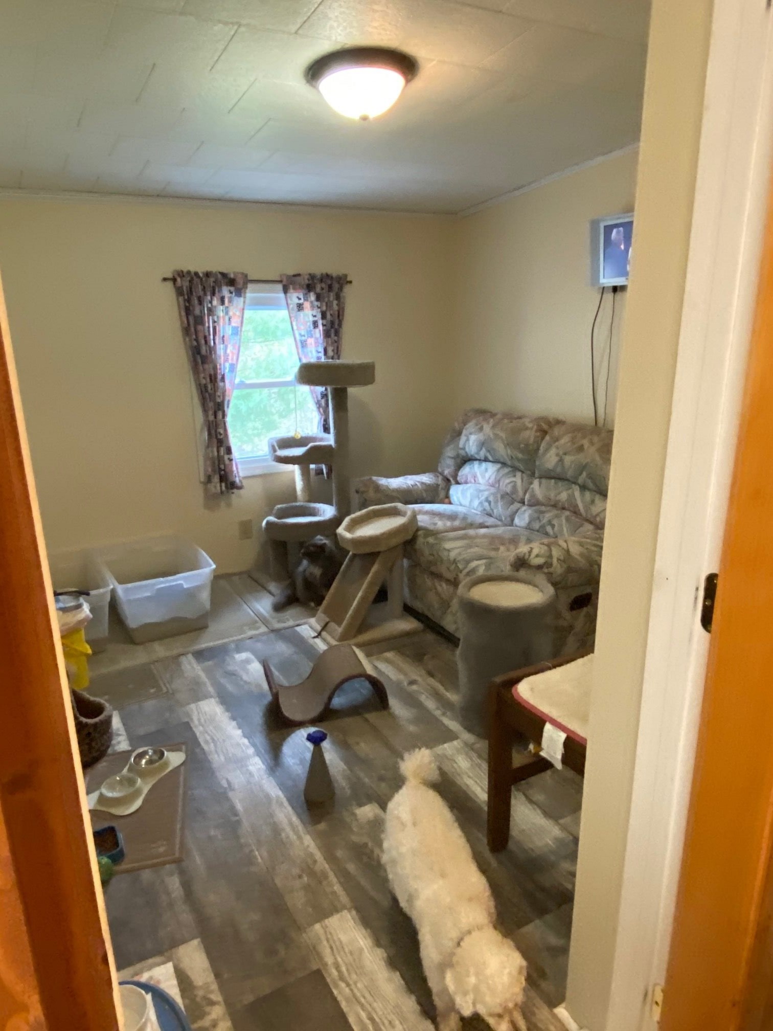 4584 North State Road Bruceville, IN 47516 - Photo 5 of 18 Gallery Image 5