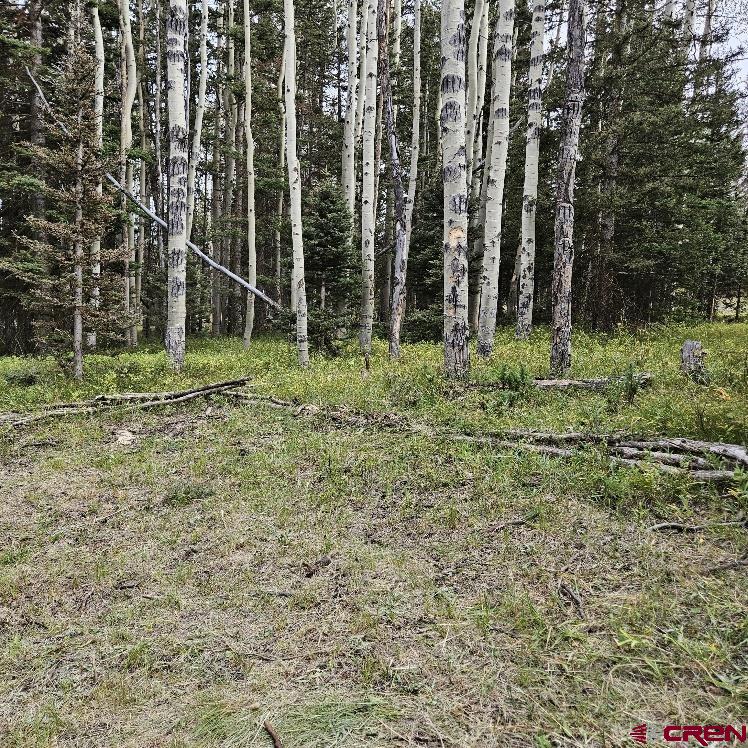 620 Balsam Road Cimarron, CO 81220 - Photo 11 of 14 Gallery Image 11