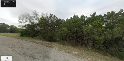 a view of a dry yard with trees