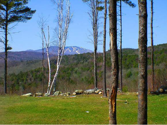 Gale Road Townshend, VT 05353 - Photo 1 of 1